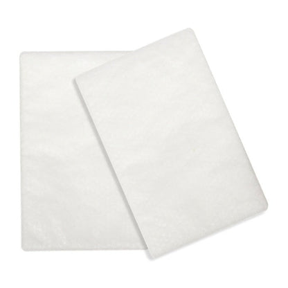 Two white standard filter pads, the everyday air filter for ResMed AirSense 10, AirCurve 10 and S9 machines